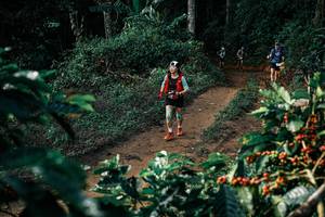 BIB: 
                            <button type="button" onclick="openModal(25846293)" class="btn btn-primary btn-sm float-right btn-popup" data-toggle="modal" data-target=".modal-high-quality">
                        <i class="fas fa-shopping-cart"></i> Add to Cart
                    </button>
                                            <button type="button" onclick="isThisMe(25846293, true)" class="btn btn-success btn-sm float-right btn-popup btn-isme hidden" data-toggle="tooltip" data-placement="bottom" title="นี่คือรูปของคุณใช่ไหม คลิกที่นี่เพื่อเอาเข้าอัลบั้ม">
                        <i class="fas fa-plus"></i> Add to album
                    </button>
                    <button type="button" onclick="isThisMe(25846293, false)" class="btn btn-warning btn-sm float-right btn-popup btn-isnotme hidden">
                        <i class="fas fa-ban"></i> Remove from album
                    </button>